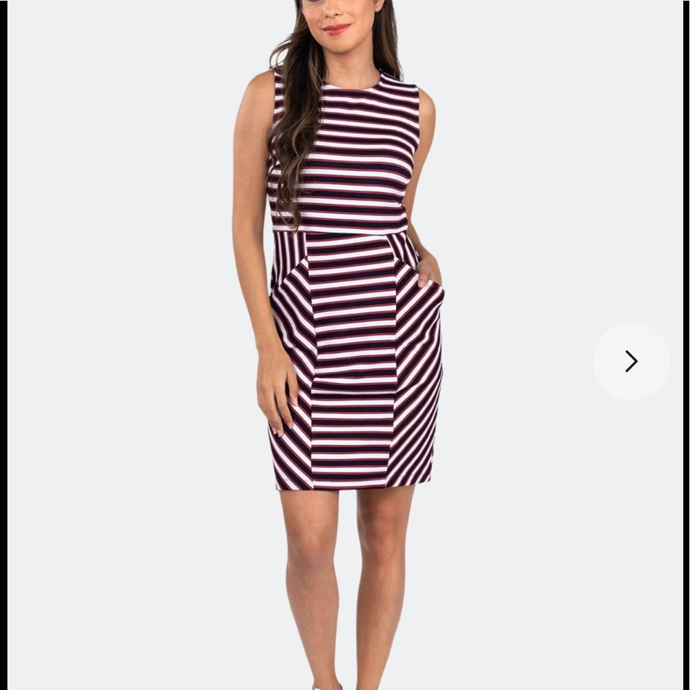 Sale NWT Leota Panel Dress in Cabana Stripe 1L